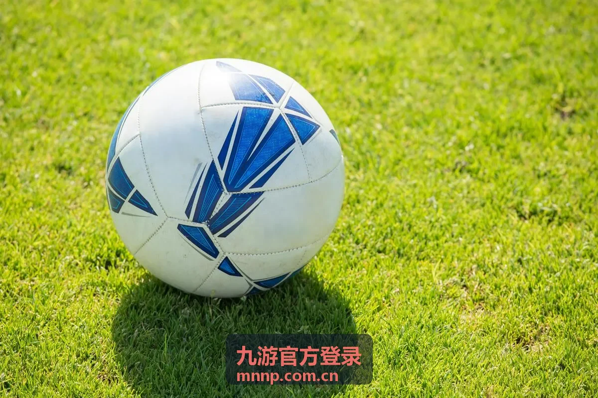 九游官方登录短信验证码收取示意画面
